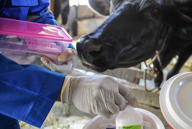Pemprov Jabar Targetkan Vaksinasi  6 juta Ekor Hewan Ternak